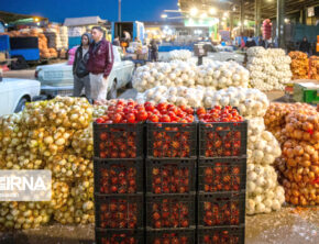 تسهیل صادرات محصولات کشاورزی با مجوزهای جدید پایانه‌های صادراتی