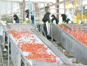 سرمایه‌گذاری ۱۸ همتی در صنایع و مکانیزاسیون کشاورزی