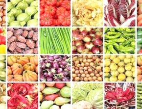 دستیابی به خودکفایی محصولات اساسی تا افق ۱۴۰۴ نیازمند ۸ همت اعتبار