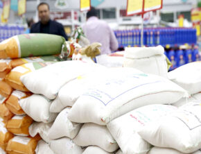 اعطای رانت گسترده و سهمیه ویژه  به برخی واردکنندگان برنج