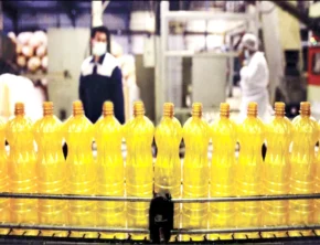 خروج شرکت عربستانی تأثیری در بازار  و قیمت روغن ندارد