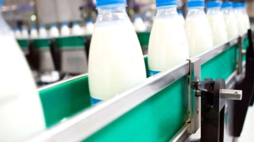 دامداران: نرخ شیر بوی زیان می‌دهد