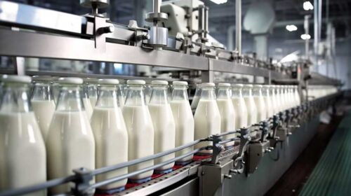 مصرف سرانه لبنیات یک‌چهارم میانگین جهانی