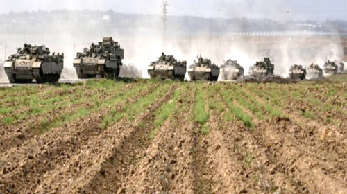 غارت کشاورزی فلسطین توسط اسرائیل