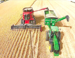 حمایت ۱۰ میلیارد دلاری آمریکا از کشاورزی