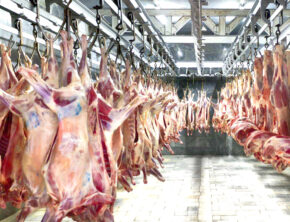 تبعات حذف ارز ترجیحی گوشت