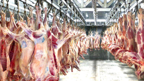 تبعات حذف ارز ترجیحی گوشت