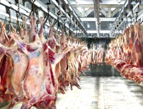 هشدار درباره حذف گوشت وارداتی