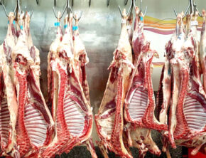 گوشت قرمز چرا ساماندهی نمی‌شود؟