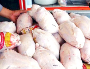 قیمت مرغ منجمد تعیین شد