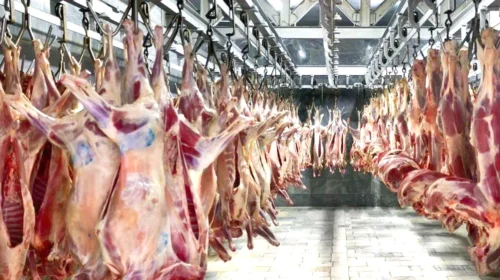 بازار گوشت، چشم‌انتظار تصمیم منطقی مسئولان