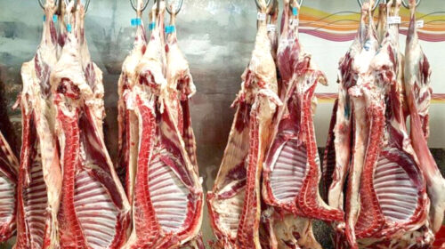 گوشت ارزان از دسترس خارج شد