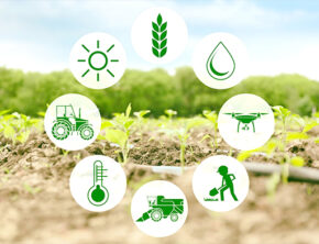 وعده خودکفایی بدون حمایت از کشاورزان محقق نمی‌شود