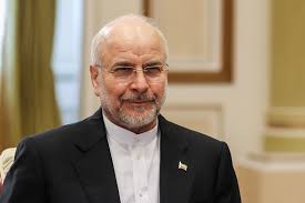 جوانان دهه هفتادی و هشتادی درس وطن‌دوستی دادند