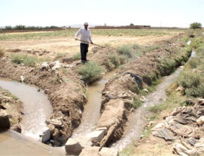 کشاورزی سنتی؛ متهم ردیف اول بحران آب در ایران