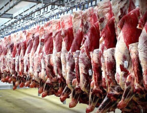 از تاثیرات واردات گوشت تا چرایی افزایش قیمت