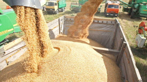 روسیه به دنبال افزایش صادرات غلات و روغن نباتی به ایران