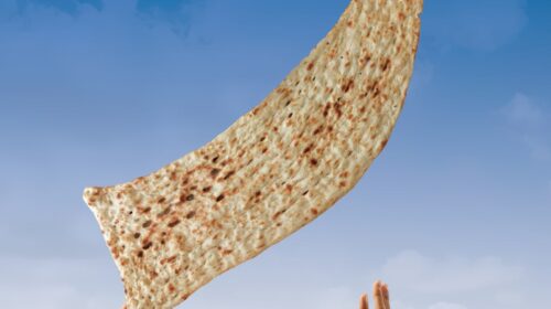 دولت پزشکیان نان را بیش از 100 درصد گران کرد