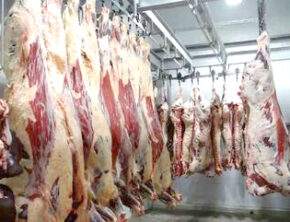 شرط خودکفایی گوشت قرمز در ۳ سال آینده چیست؟