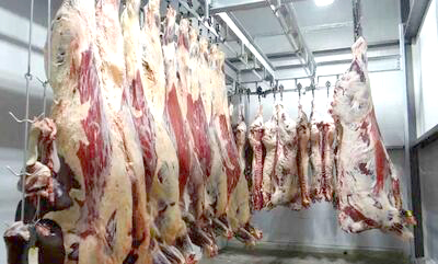 شرط خودکفایی گوشت قرمز در ۳ سال آینده چیست؟