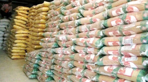 بازار برنج در چنبره بی‌برنامگی و آمارهای متناقض