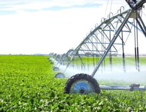 نجات آب با اصلاح الگوی کشت