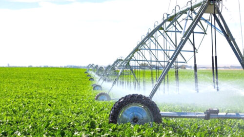 نجات آب با اصلاح الگوی کشت