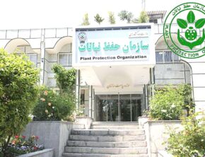 نقدی بر اصلاح ساختار سازمان حفظ نباتات