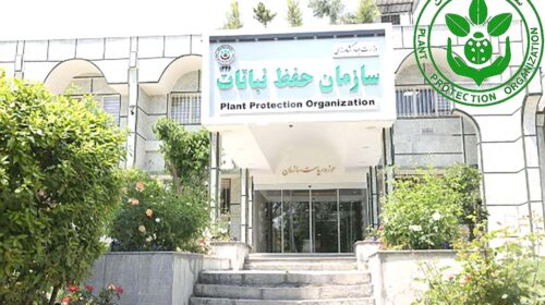 نقدی بر اصلاح ساختار سازمان حفظ نباتات