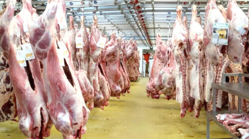 تصمیمی دیرهنگام که بازار را تحت‌الشعاع قرار داد