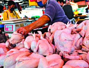 قیمت مرغ به کیلویی به ۱۸۰‌ هزار تومان رسید