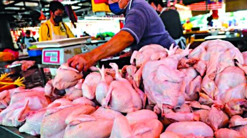 قیمت مرغ به کیلویی به ۱۸۰‌ هزار تومان رسید