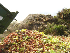 هدررفت سالانه ۴۰ میلیون تن محصول کشاورزی در کشور