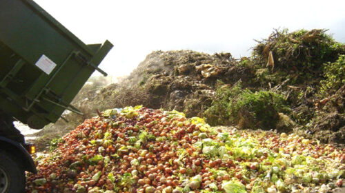 هدررفت سالانه ۴۰ میلیون تن محصول کشاورزی در کشور