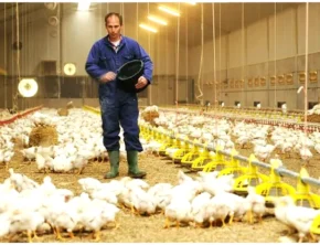 چرخه ناتمام بی‌نظمی و تورم پنهان در زنجیره تولید