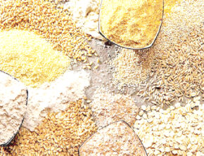 بحران نهاده‌های دامی و سکوت دولت در برابر انحصارگران