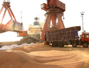 بحران نهاده‌های دامی؛ از نبود مدیریت ارزی تا ناکارآمدی سامانه‌های وزارت جهاد