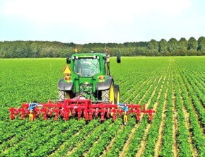 توسعه مکانیزاسیون کلید کاهش ضایعات و پایداری امنیت غذایی