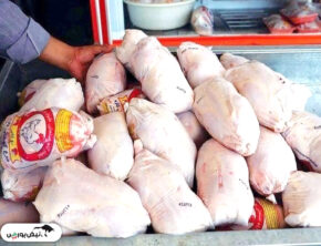 چرا گوشت مرغ و تخم‌مرغ با قیمت مصوب عرضه نمی‌شوند؟