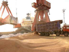 تخلفات واردات نهاده‌ها زیر ذره‌بین دستگاه قضایی