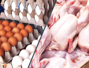 ماراتن افزایش قیمت بین مرغ، تخم مرغ و شیر