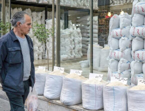 برنج هاشمی ۱۷۹ درصد نسبت به سال قبل گران شد