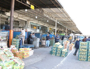 دلالان همه‌کاره بازار میوه هستند