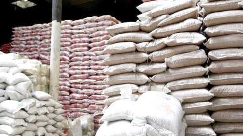 سیاست ارزی بازار را به بحران کشاند