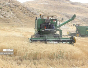 مکانیزاسیون فرسوده؛ متهم هدررفت ۳۵ درصد محصولات کشاورزی