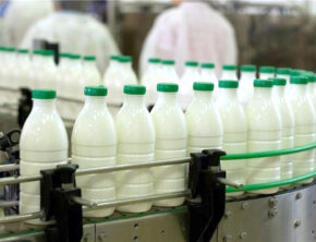 جدال هزینه تولید و قیمت نهایی در بازار لبنیات