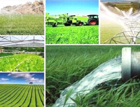 کشت فراسرزمینی میانبری برای حفظ منابع آبی