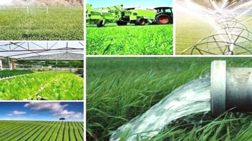 کشت فراسرزمینی میانبری برای حفظ منابع آبی