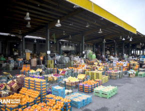 سفره‌ای که کوچک‌تر شد؛ ردپای گرانی از مزرعه تا مغازه