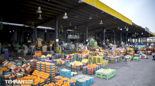 سفره‌ای که کوچک‌تر شد؛ ردپای گرانی از مزرعه تا مغازه